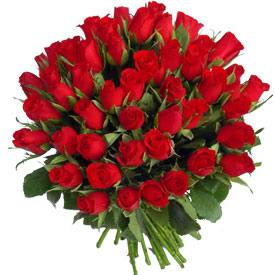 Red Roses (70 Rose)