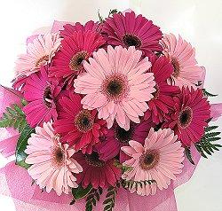 Pretty in Pink Gerberas