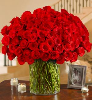 Red Carpet Roses 50 ROSE