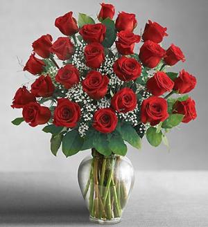 2 Dozens Red Roses Vase