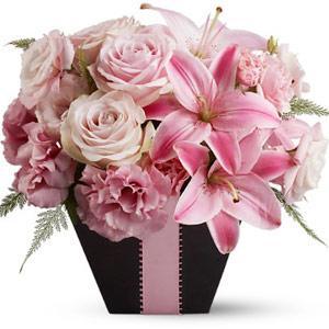 Pinky Box